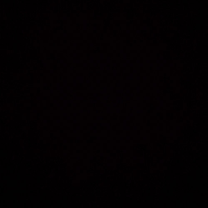 真人做爰免费视频观看
