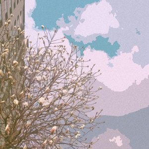 真人做爰免费视频观看
